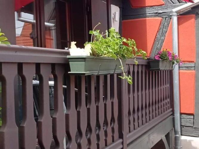 Stunning Apartment In Heart Of Dambach La Ville Eksteriør billede